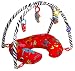 Boppy 5-in-1 Fun