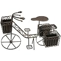 Bicycle Planter- Bronze Finish(Small)