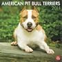 American Pit Bull Terriers 2011 Square 12X12 Wall