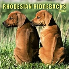 Rhodesian Ridgebacks 2004 Calendar