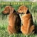 Rhodesian Ridgebacks 2004 Calendar