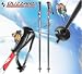 BLIZZARD - Skistöcke XO black 135 cm