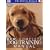RSPCA New Complete Dog Training Manual