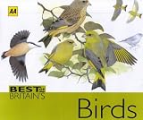 AA Best of Britain's Birds: Beautifully Illustrated Guide to Over 250 Species