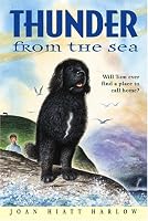 Thunder from the Sea