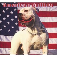 2004 American Bulldog Calendar