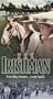 The Irishman [VHS]