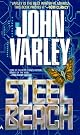 Steel Beach