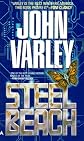 Steel Beach