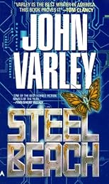 Steel Beach