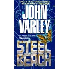 Steel Beach
