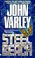 Steel Beach
