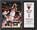Derrick Rose Chicago Bulls 12x15 Plaque with 8x10 Photograph and Plate