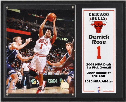Derrick Rose Sublimated 12x15 Plaque | Details: Chicago Bulls