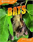 Bats (Animal Lives)