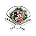 Aminco MLB Baltimore Orioles Field Pin