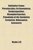 Solnhofen Fauna: Pterodactylus, Archaeopteryx, Compsognathus, Rhamphorhynchus, Paleobiota of the Solnhofen Formation, Dakosaurus, Geosaurus