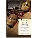 Heart Like Water: Surviving Katrina and Life in Its Disaster Zone