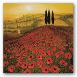 Poppy Field by Steve Thoms 30x30 Art Print Poster