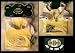 Bark Avenue Pet Clothing Hooded Sweater Yellow Size Extra Small