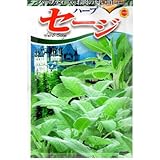 ハーブ セイジ (コモンセイジ) (307)