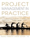 Project Management in Practice