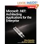 Microsoft .NET: Architecting Applications for the Enterprise (PRO-Developer)