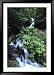 Patagonian Waterfall, Cascada La Macarena, Tierra Del Fuego National Park, Near Ushuaia, Argentina Framed Photographic Poster Print by Holger Leue, 33x45