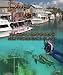Dive Travel - Nassau Bahamas
