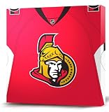 NHL Ottawa Senators Dark Jersey Canvas Print (20 x 20)