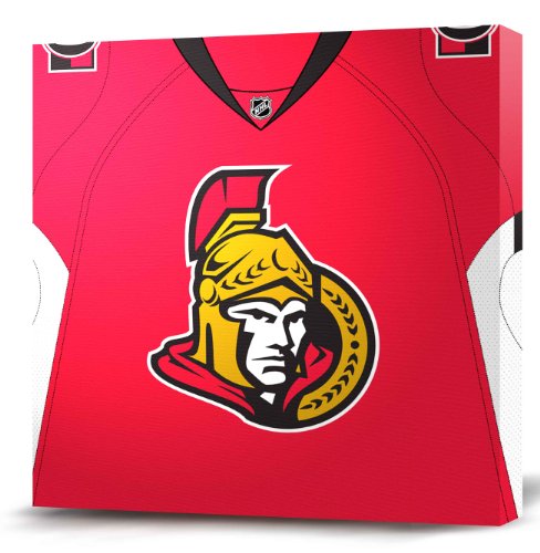 NHL Ottawa Senators Dark Jersey Canvas Print (20 x 20)