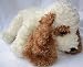 Ty Beanie Buddies Buddy White Dog Brown Ears Spot on Eye Doll Toy