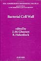 Bacterial Cell Wall