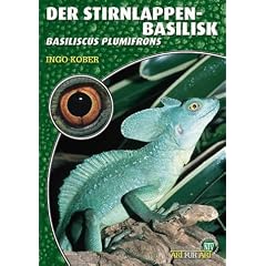 Der Stirnlappenbasilisk: Basiliscus plumifrons