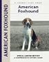 American Foxhound