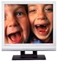Cornea CT1904S 19" LCD Monitor (Silver)