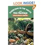 Gardening in the South: Vegetables & Fruits (Gardening in the South with Don Hastings)