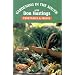 Gardening in the South: Vegetables & Fruits (Gardening in the South with Don Hastings)