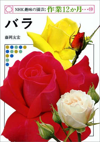 NHK��̣�α�ݡ����12���� 10  �Х�
