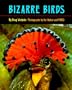 Bizarre Birds