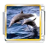 Animal Photo Dolphin Family Italian Charms Bracelet Link