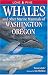 Whales and Other Marine Mammals of Washington and Oregon