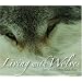 Wolves