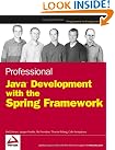 Professional Java Development...