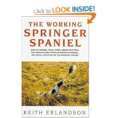 The Working Springer Spaniel