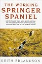 The Working Springer Spaniel