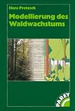 Modellierung des Waldwachstums