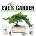 Amazon Special Bonsai Tree Gift Kit - 10 Year Old Japanese Juniper in a 10 inch Ceramic Container, B