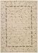 Nourison Zanibar Vines of Flowers Beige 7.9-Feet by 10.10-Feet Polyacrylic Area Rug