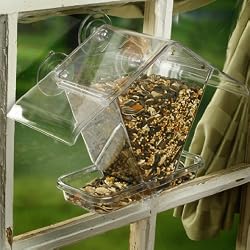 Window Cafe